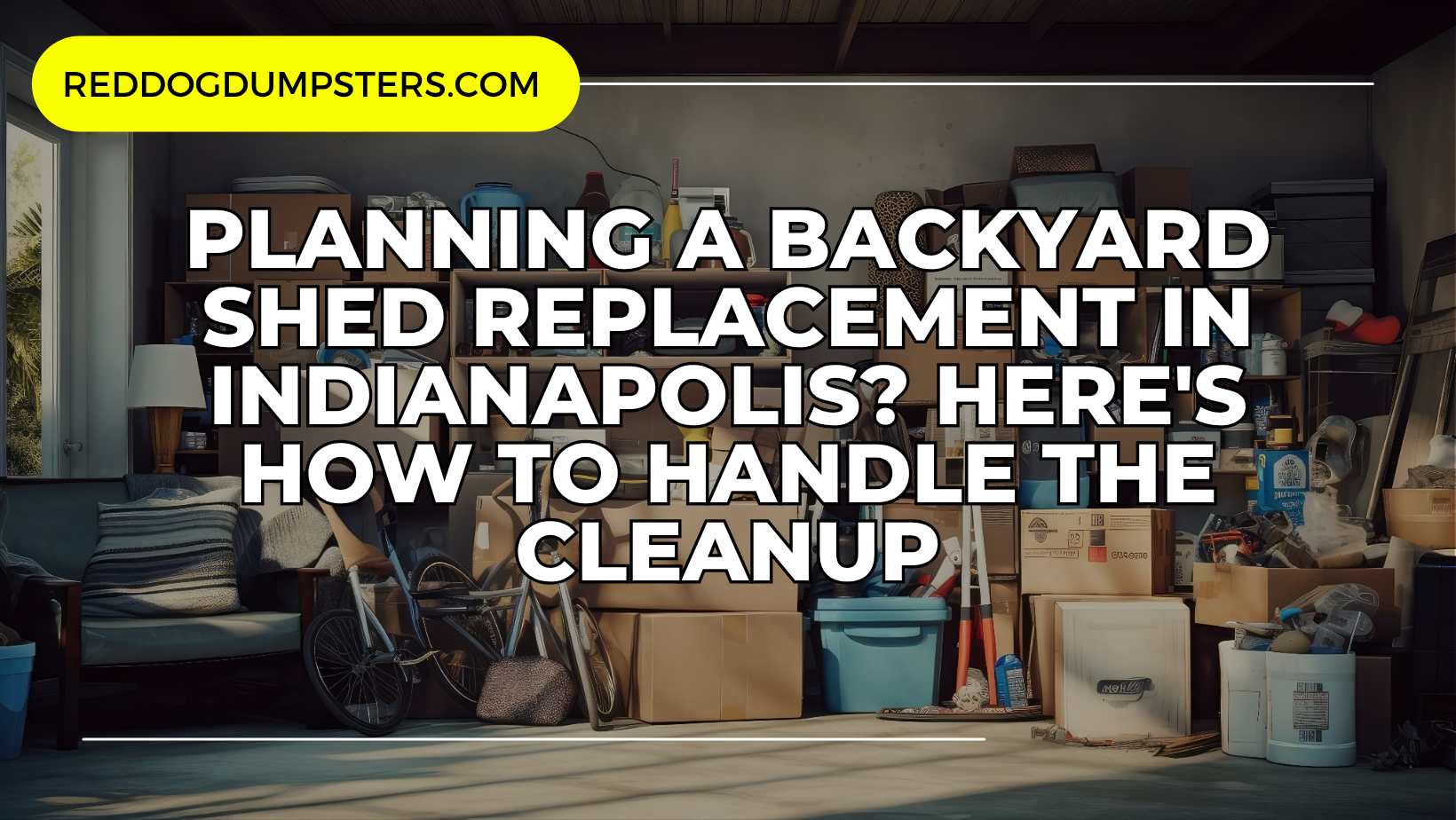 Backyard Cleanup